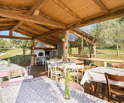 Natura Camp Karli, Kaštelir (Istra): poletni oddih