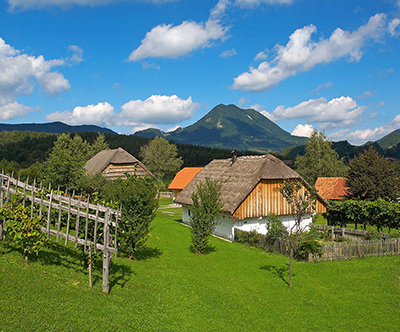 Pubyland Rooms&Apartments, Rogatec: turistični bon