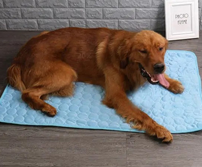 CoolingMat, hladilna podloga za pse