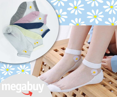 Paket 5 parov ženskih nogavičk