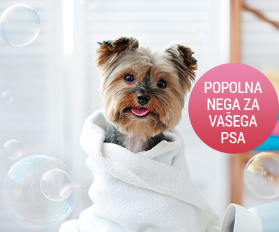 Pasji salon Pepa Styling: nega velikega psa