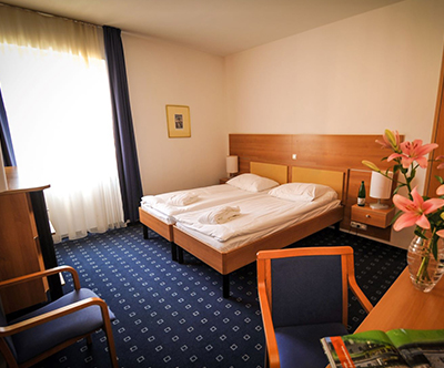Hotel Slovenija 4*, Rogaška Slatina: wellness paket
