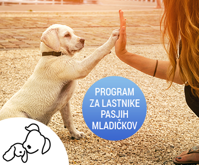 Puppy 4paws: program za vzgojo pasjih mladičev