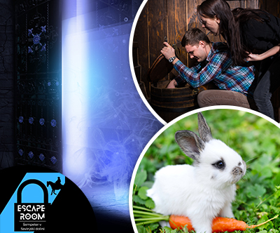 Escape room Šempeter: rešite zajčka Smokija