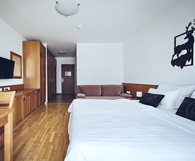 Wellness & Spa Hotel Bolfenk 4*, Mariborsko Pohorje