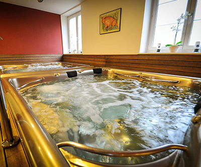 Hotel Slovenija 4*, Rogaška Slatina: wellness paket
