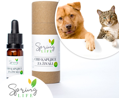 CBD kapljice za živali z lososovim oljem (10 ml)