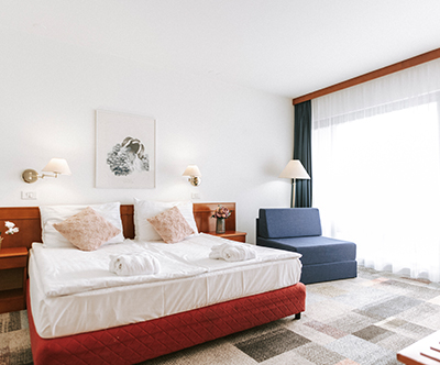 Terme Čatež, Hotel Toplice 4*: poletne počitnice