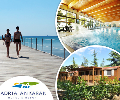 Camping Adria, Ankaran: najem mobilne hiške Brioni Camping Adria, Ankaran: najem mobilne hiške Brioni