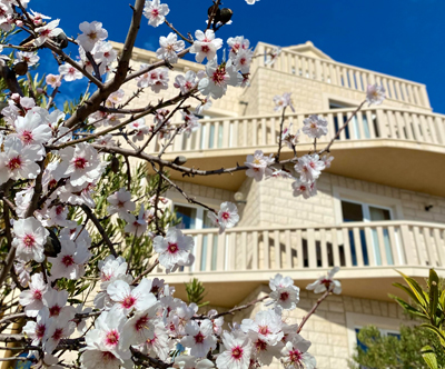 Hotel Villa Džamonja 4*, Bol na Braču, oddih