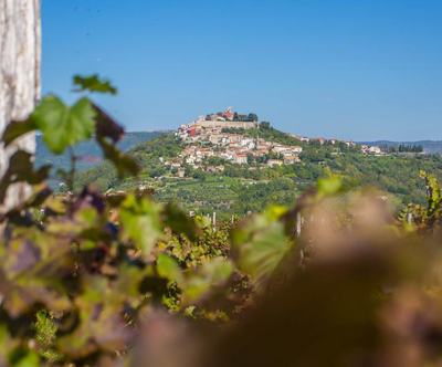 Villa Luna & Villa Fragola, Motovun: oddih v srcu Istre