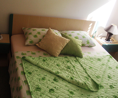 Apartmaji Cindric, Selce: 2x nočitev za 2