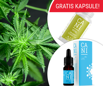 Organske CBD kapljice Cani Life 10%