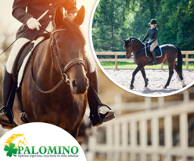 Konjeniški klub Palomino: šola jahanja