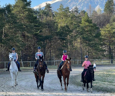Konjeniški klub Palomino: šola jahanja