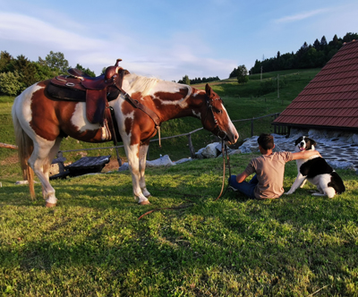 1 uro jahanja za 1 osebo z inštruktorjem