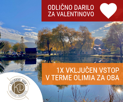 Kozjanski dvor 3*, Kozje, polpenzion, terme olimia