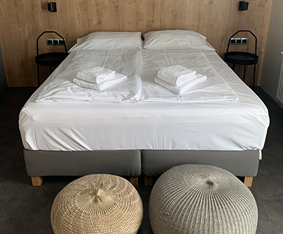 Aparthotel Vital, Moravske Toplice: wellness oddih