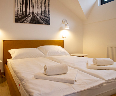 Apartmaji Montis, Golte: zimski gorski oddih