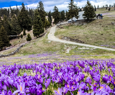 Luksuzne koce na Veliki planini: družinske pocitnice