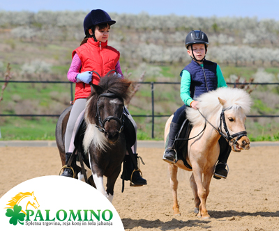 Konjeniški klub Palomino: šola jahanja