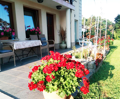 Dolenjska vila, wellness oddih za 2