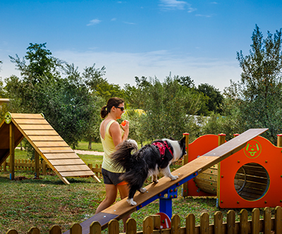 Aminess Maravea Camping Resort, Novigrad: mobilne hiške