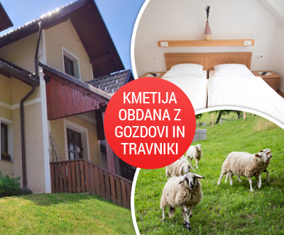 Kmetija Pr' Dovar: 1x nočitev z zajtrkom, apiterapija