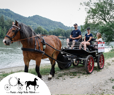 Turistična vožnja s kočijo za 4 osebe, 60 min