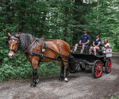 Turistična vožnja s kočijo za 4 osebe, 60 min