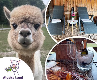 Alpaka Land, druženje za alpakami, piknik