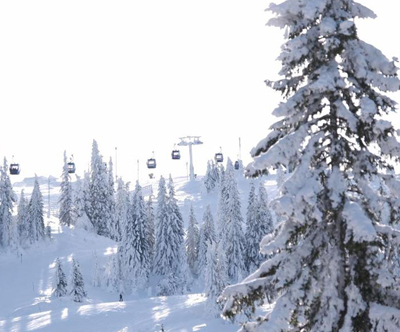 Apartmaji Rustika, Jahorina, 7x nočitev