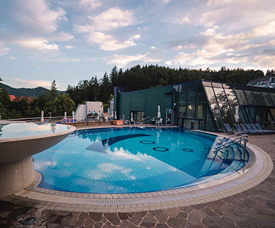 Hotel Vila Higieia 4*, Terme Dobrna: mega oddih