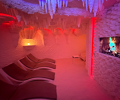 Aparthotel Vital, Moravske Toplice: wellness oddih