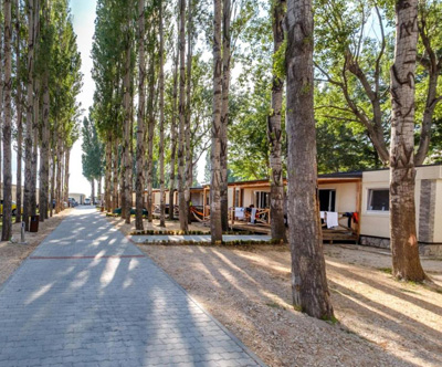Kamp Galeb, Omiš, pomladni oddih