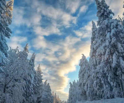 Apartmaji Bolfenk 4*, Mariborsko Pohorje