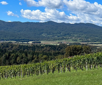 Turizem Malerič, oddih v zidanici v Beli krajni