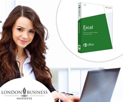 6-mesečni začetni in nadaljevalni tečaj Microsoft Excel