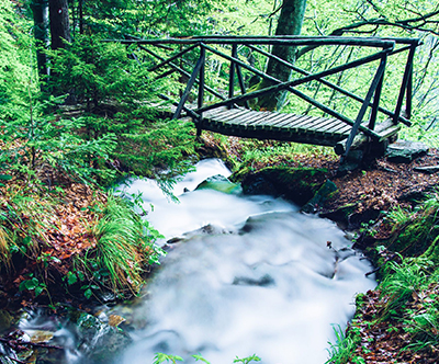 Wellness & Spa Hotel Bolfenk 4*, Pohorje: poletni oddih