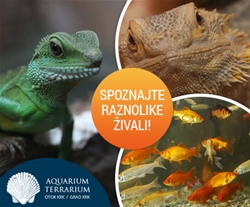 Akvarij & Terarij Porec, vstopnica za odrasle