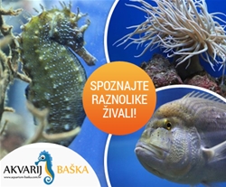 Akvarij & Terarij Porec, vstopnica za otroke