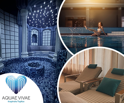 Aquae Vivae, vodni park: wellness razvajanje