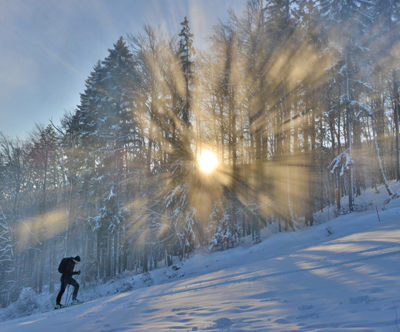 Apartmaji Bolfenk 4*, Mariborsko Pohorje