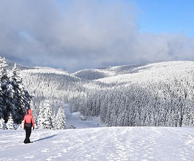 Gostišče Smogavc 3*, Rogla, smučarski oddih