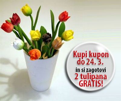 tulipani