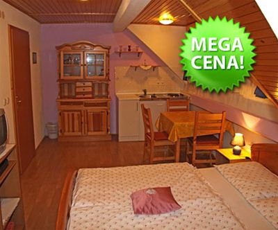 Bohinj apartma 3 dni za 2 le 40 eur