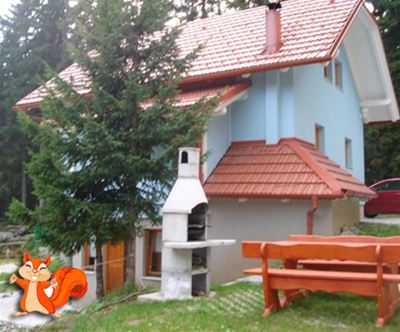 apartmaji veverica