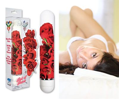 vibrator