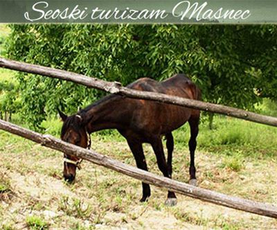3-dnevni oddih za 2 osebi v neokrnjeni naravi!