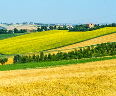 Borgo Storico Seghetti Panichi